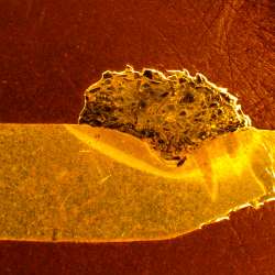 Cross section of a sweep edge